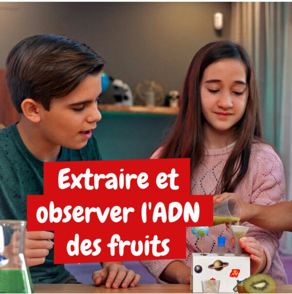 Extraire ADN des fruits