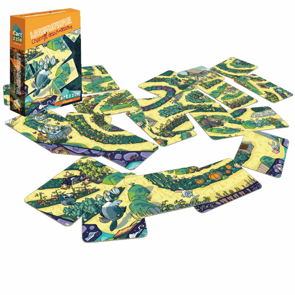 Cartzzle Labyrinthe Champs dessus dessous Opla